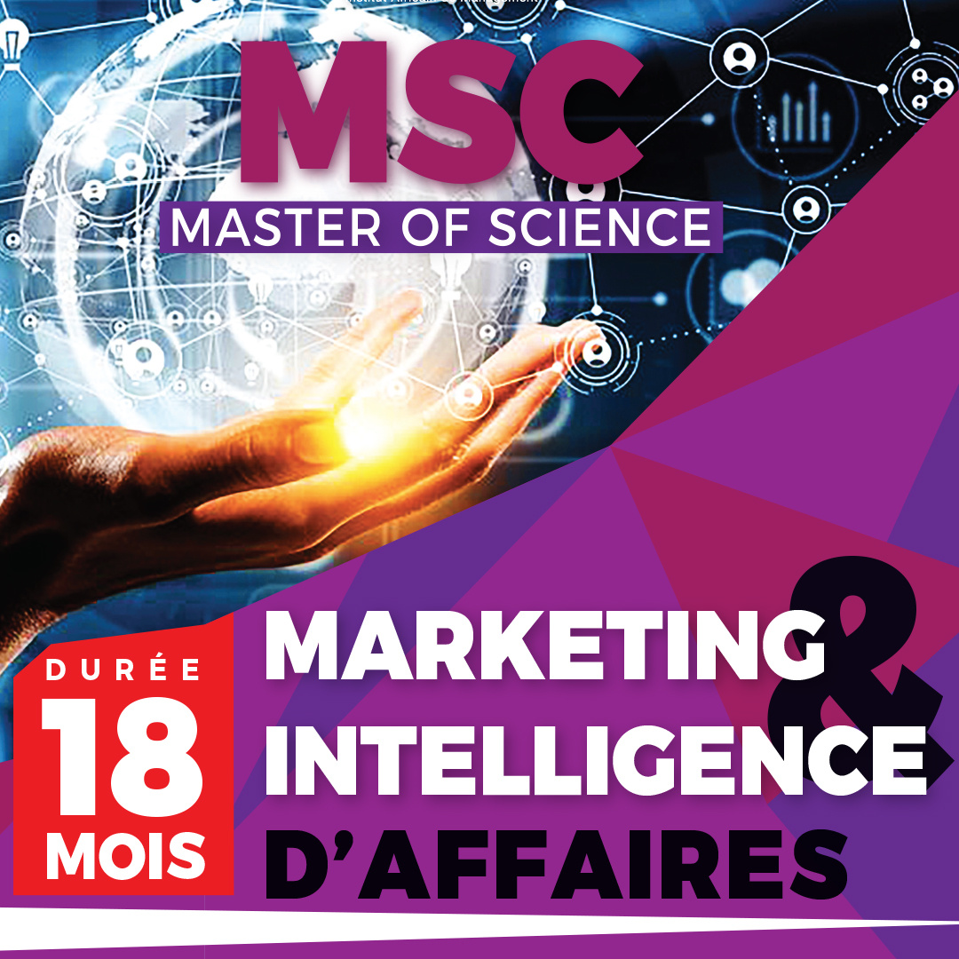 Marketing & Intelligence d’Affaires (brochure)