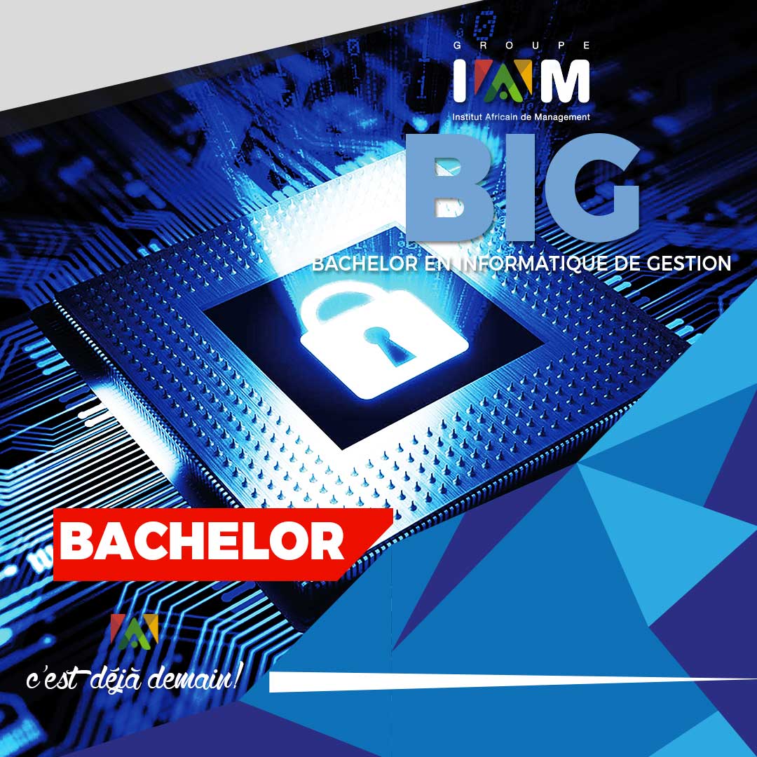 Bachelor en Informatique de Gestion (brochure1)