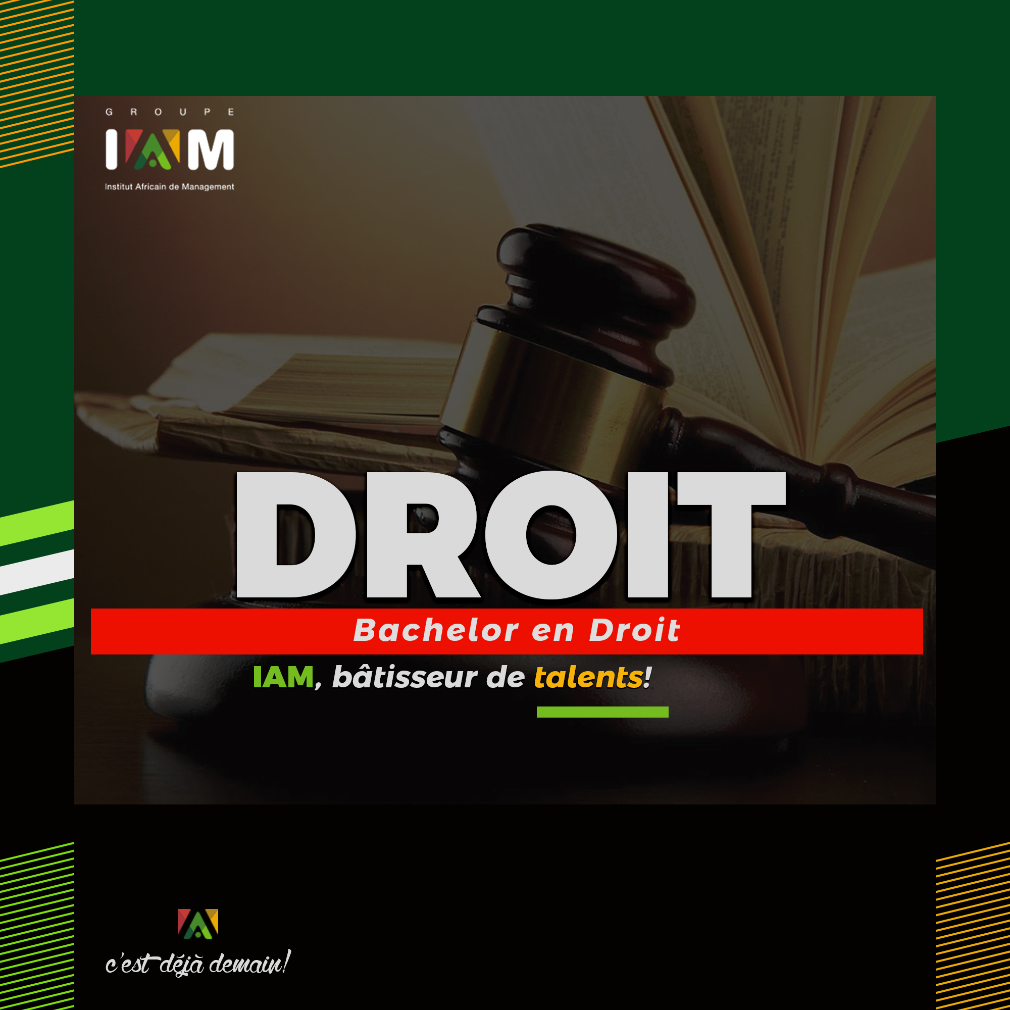 Licence Droit (brochure)