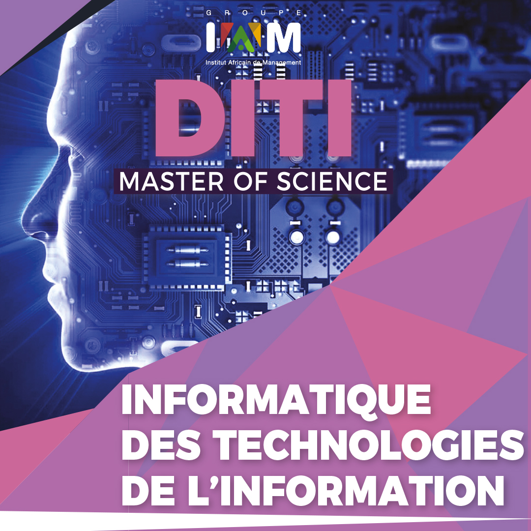 Management des Systèmes d’Information (brochure)